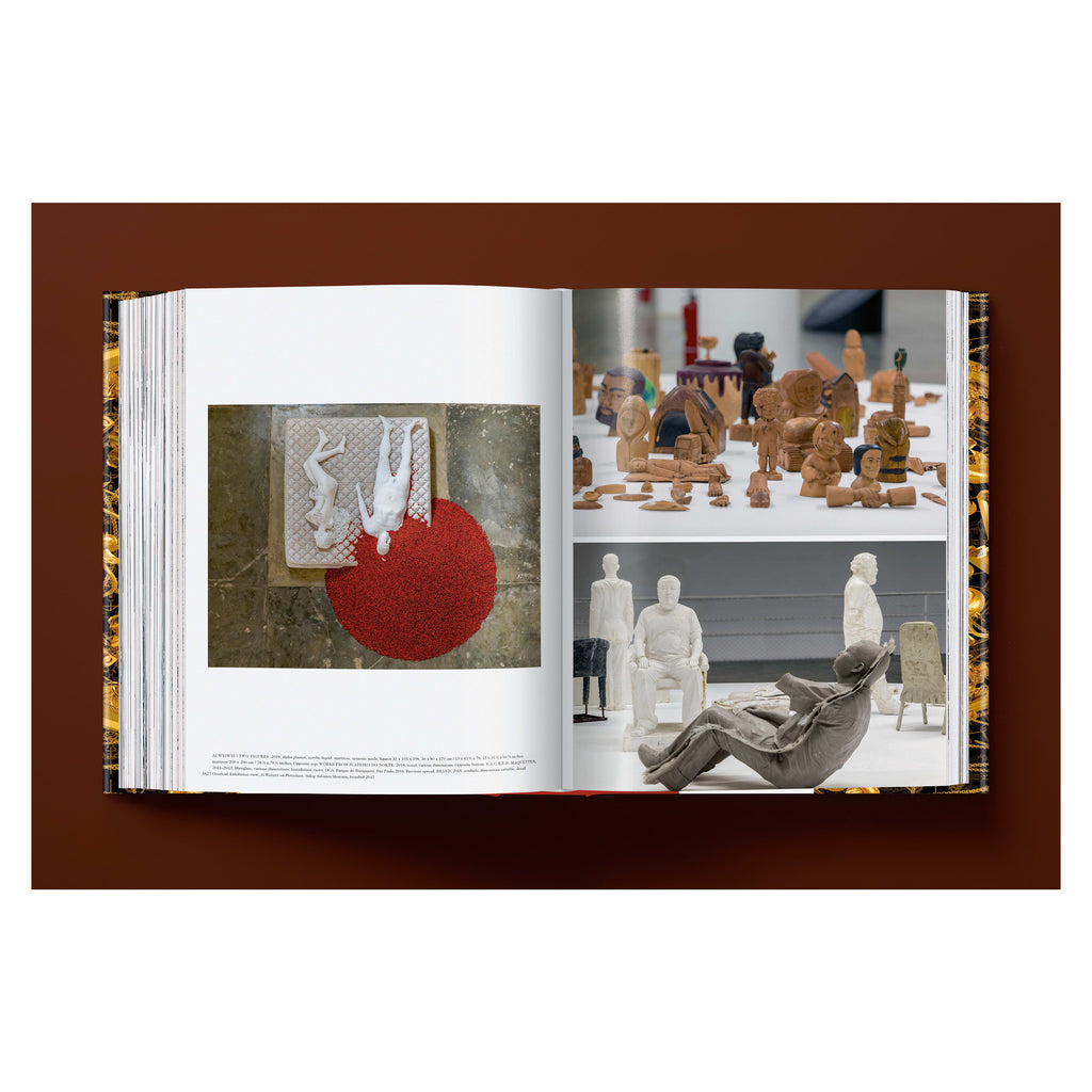 Ai Weiwei: Updated Edition (German, French, English)