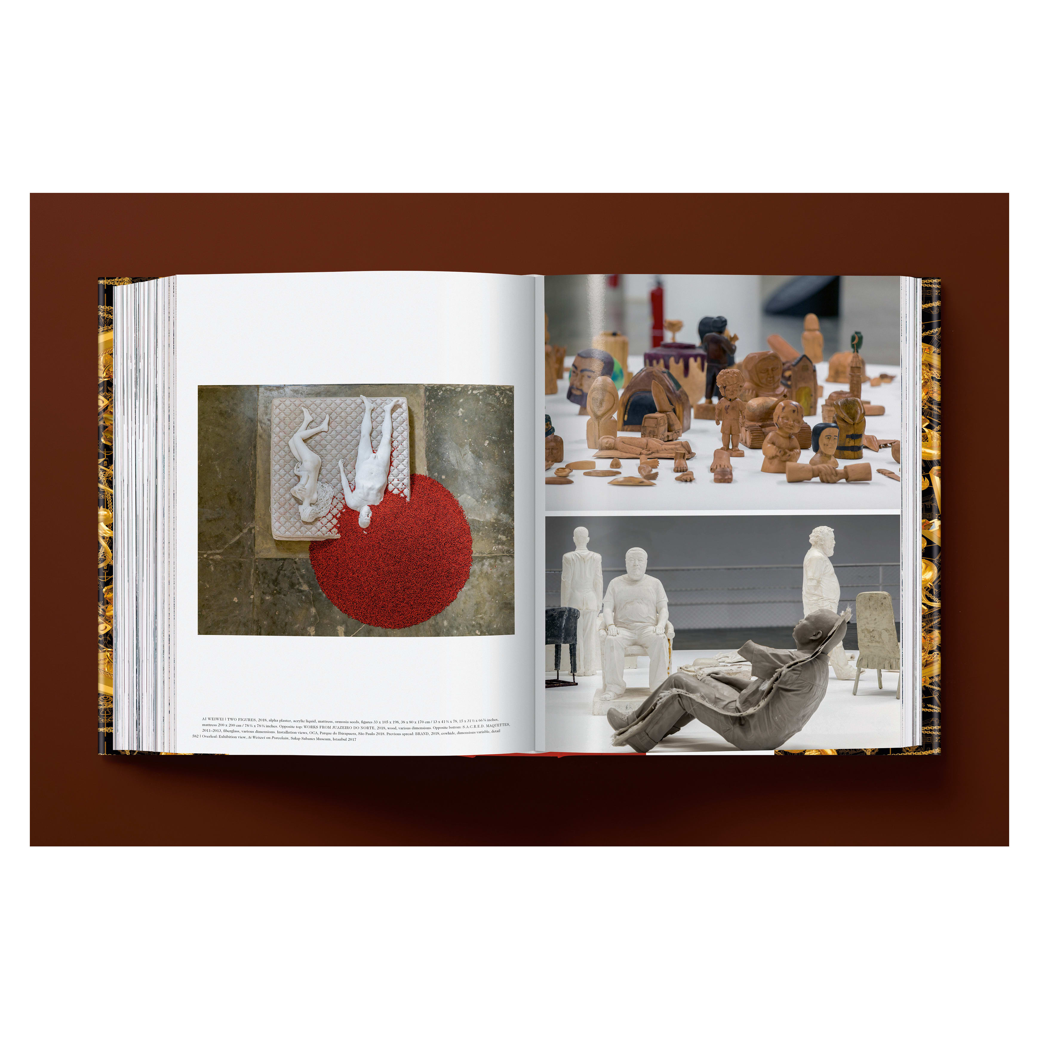 Ai Weiwei: Updated Edition (German, French, English)