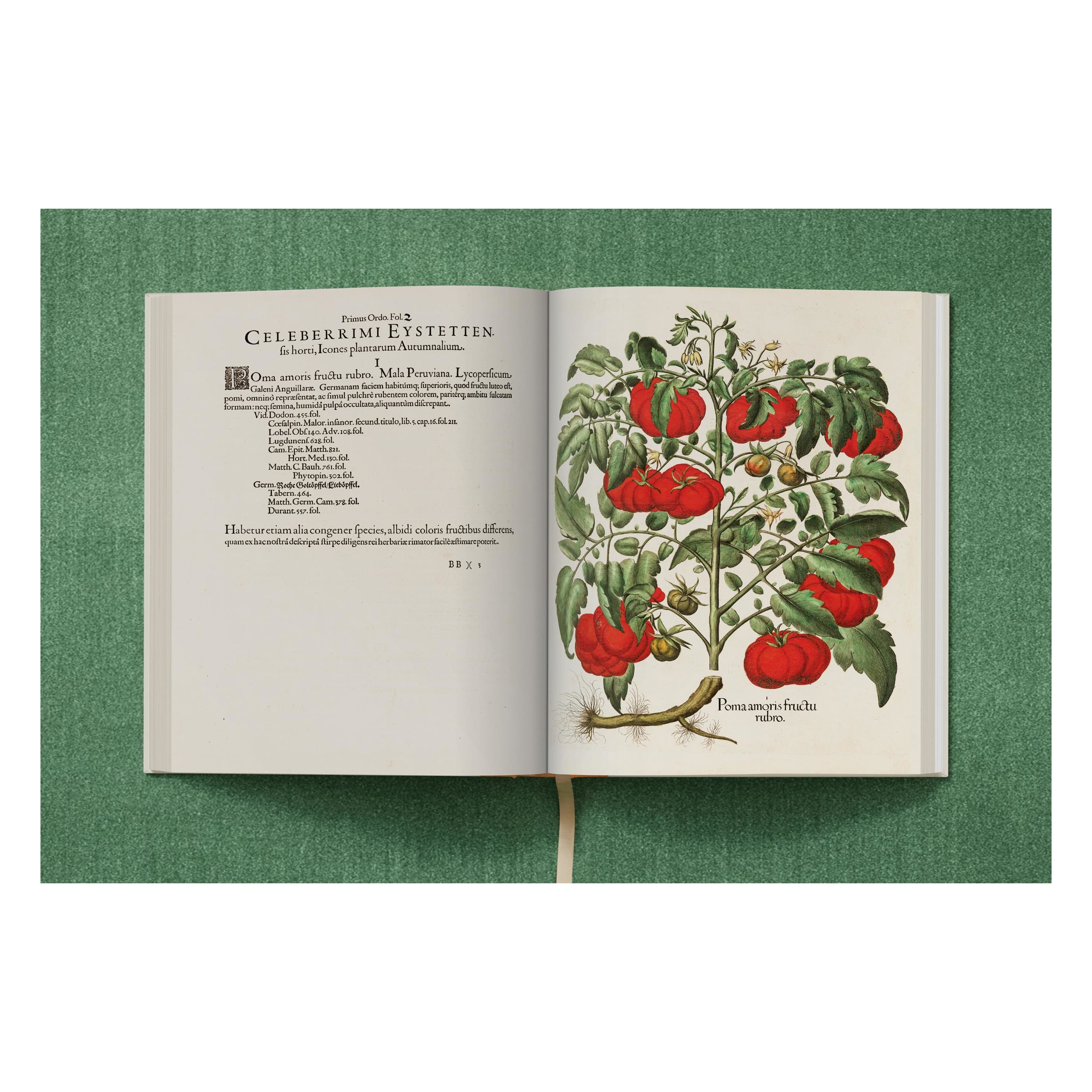 Basilius Besler: The Garden at Eichstätt (German, French, English)