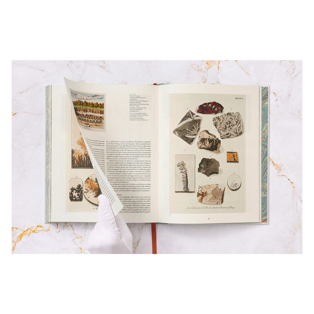 Jan Christiaan Sepp: The Book of Marble (German, French, English)