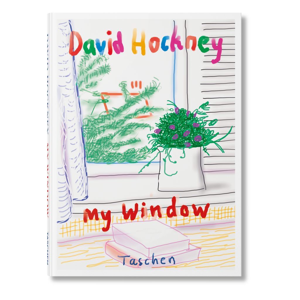 David Hockney: My Window