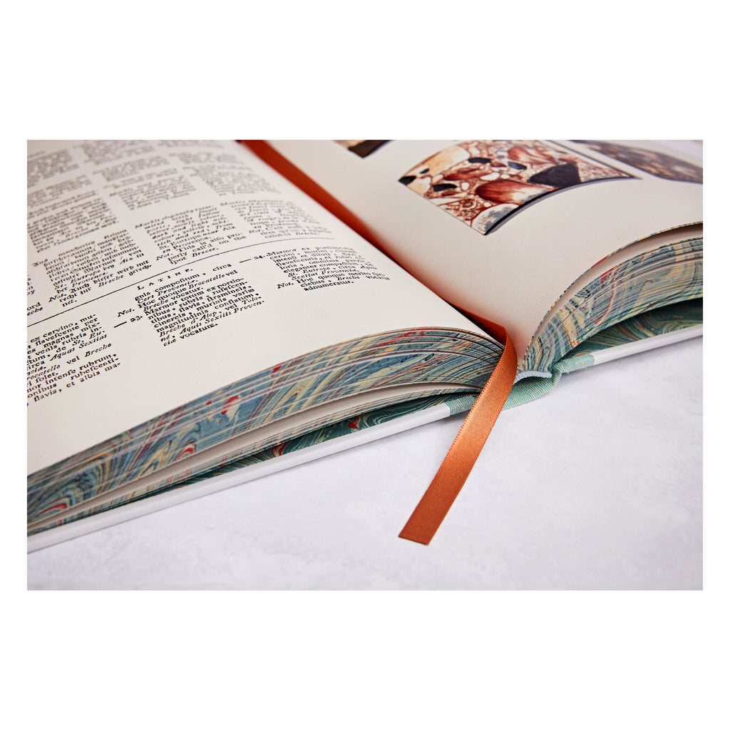 Jan Christiaan Sepp: The Book of Marble (German, French, English)