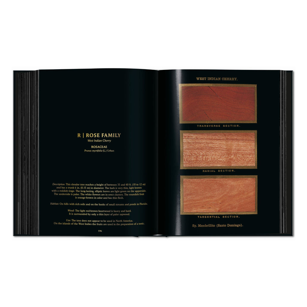 Romeyn B. Hough: The Woodbook. The Complete Plates