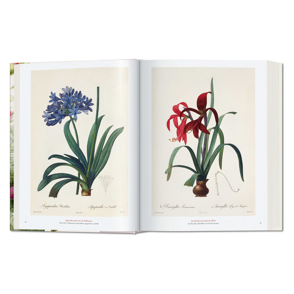 Redouté: The Book of Flowers (German, French, English)