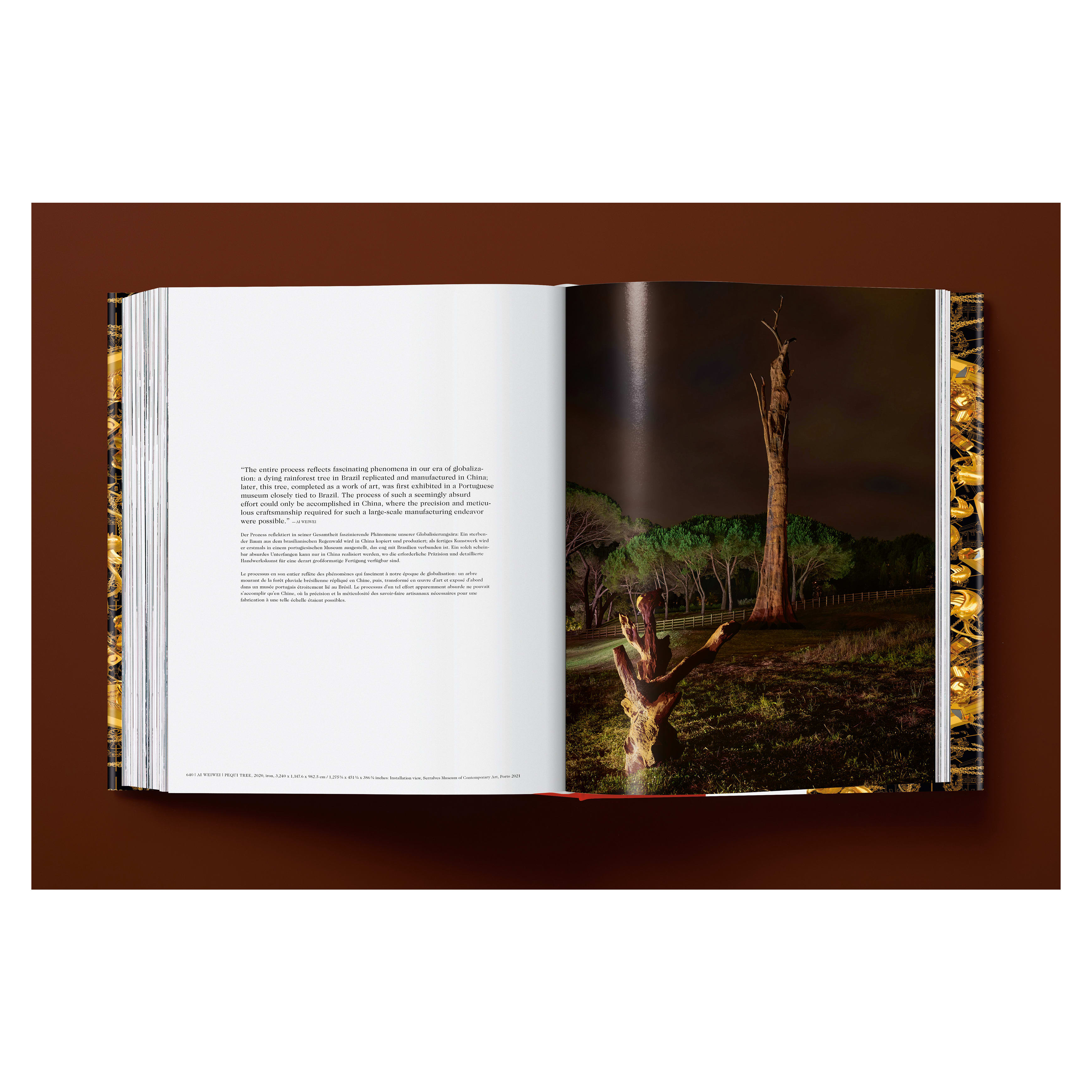 Ai Weiwei: Updated Edition (German, French, English)