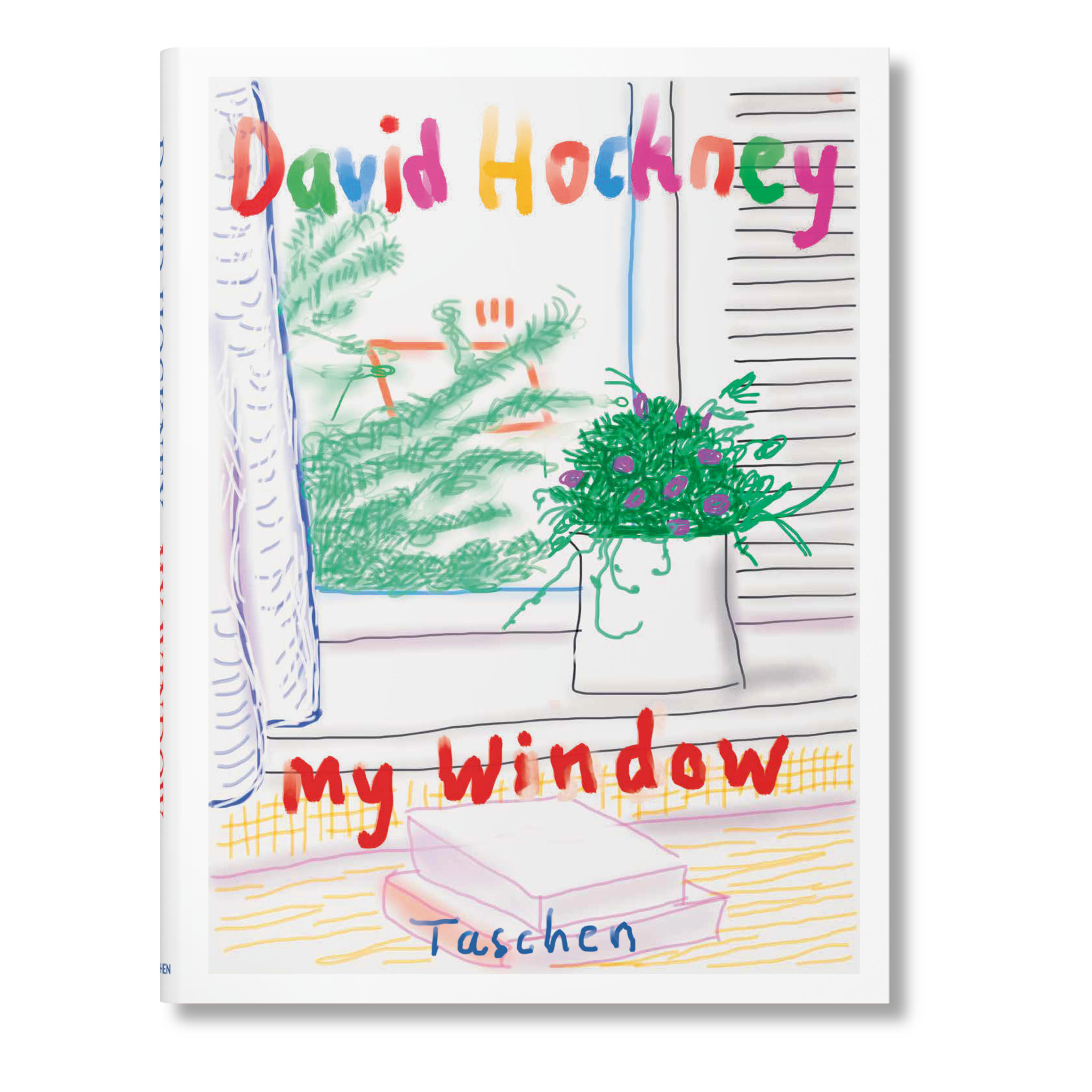 David Hockney: My Window