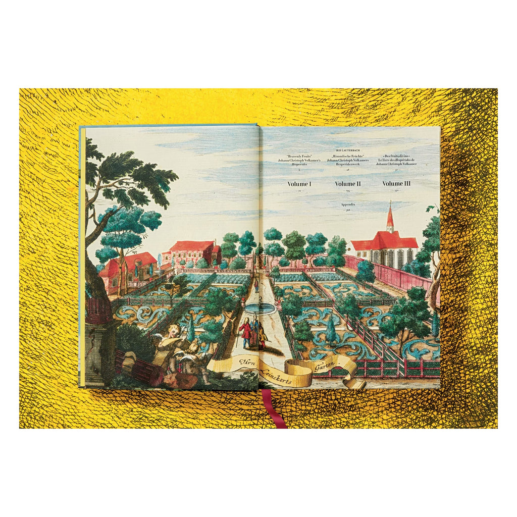 J. C. Volkamer: The Book of Citrus Fruits (German, French, English)
