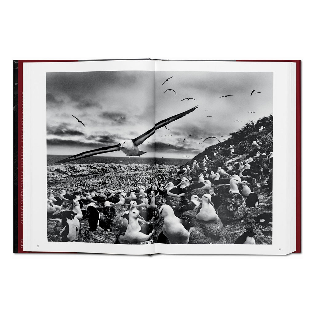 Sebastião Salgado: Genesis