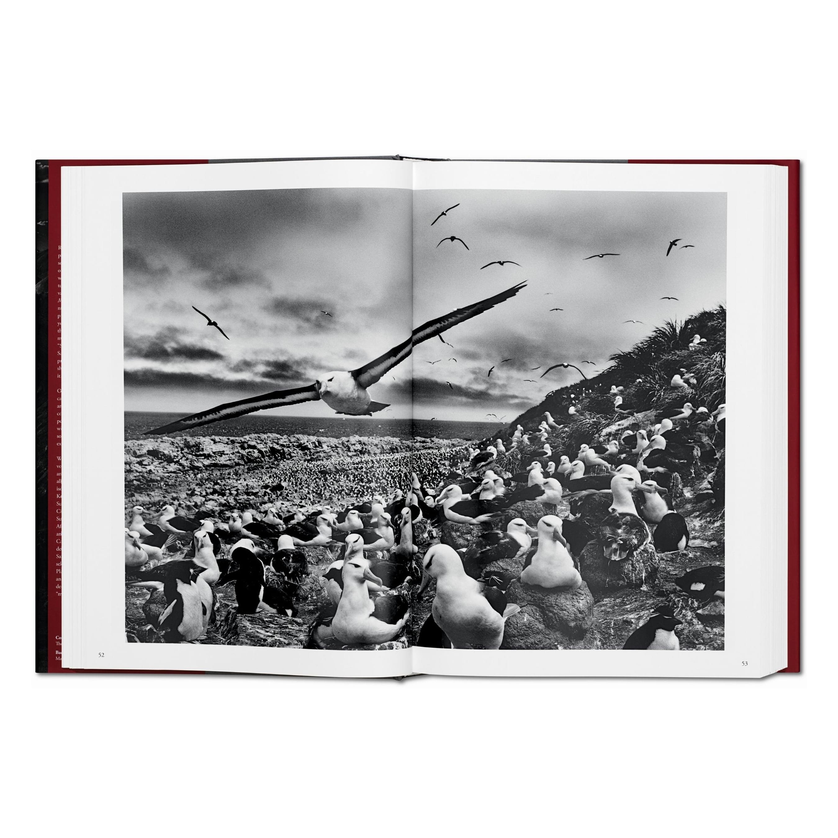 Sebastião Salgado: Genesis
