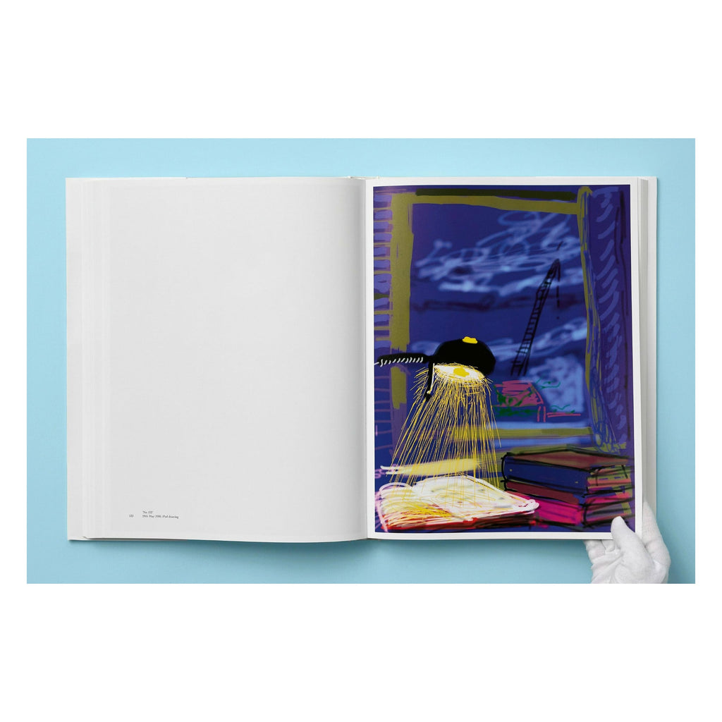 David Hockney: My Window