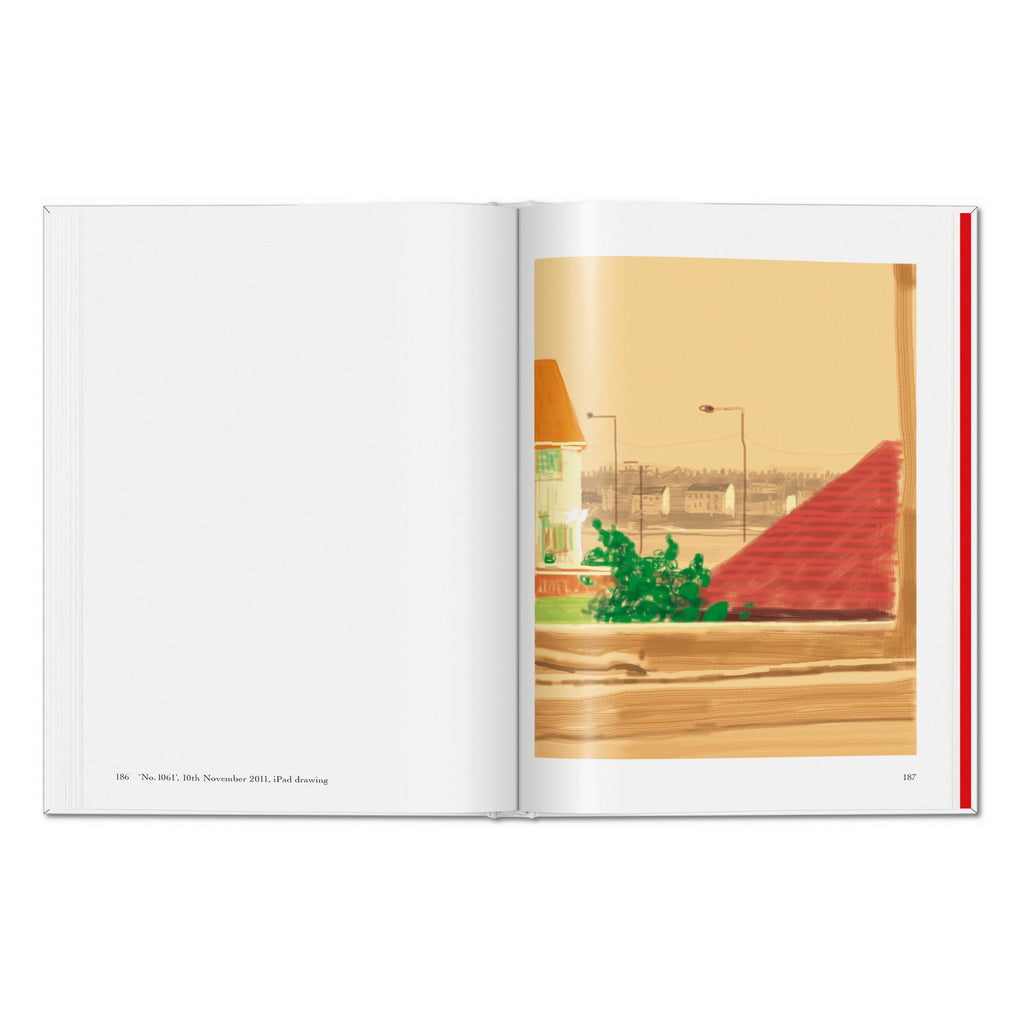 David Hockney: My Window