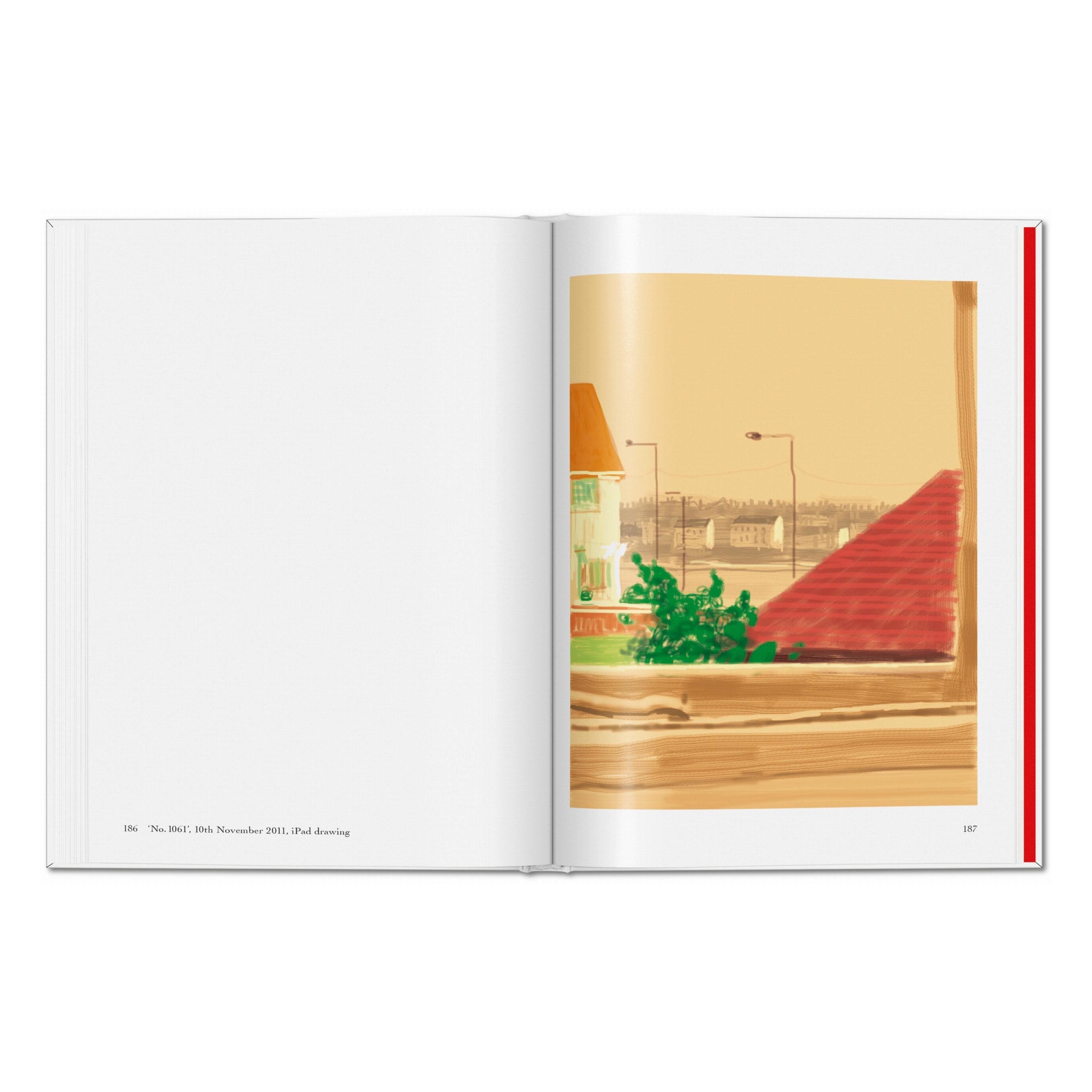 David Hockney: My Window