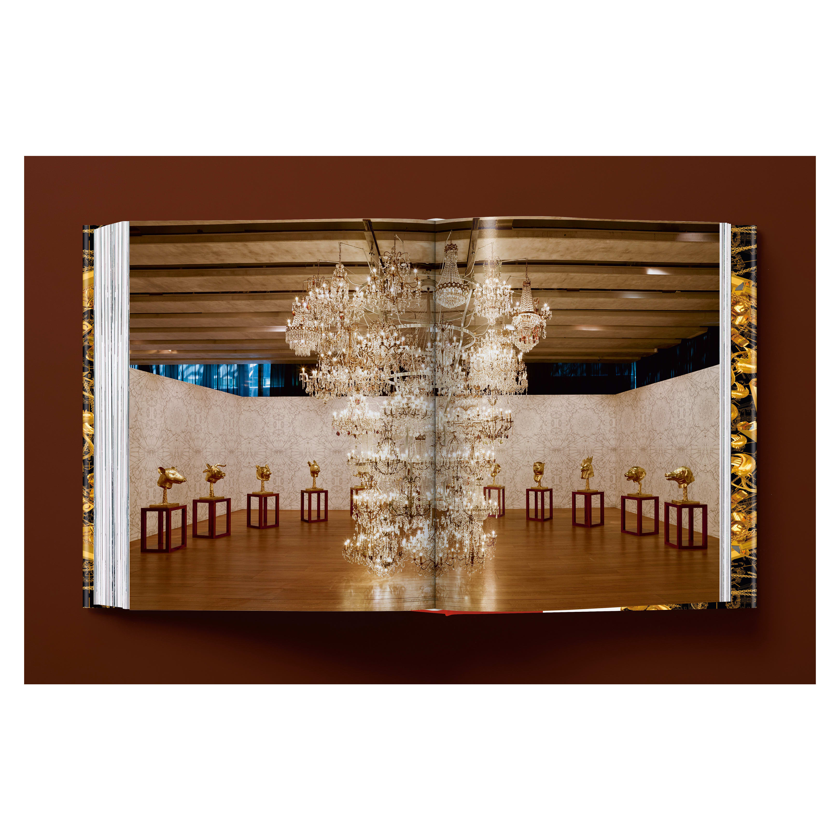 Ai Weiwei: Updated Edition (German, French, English)