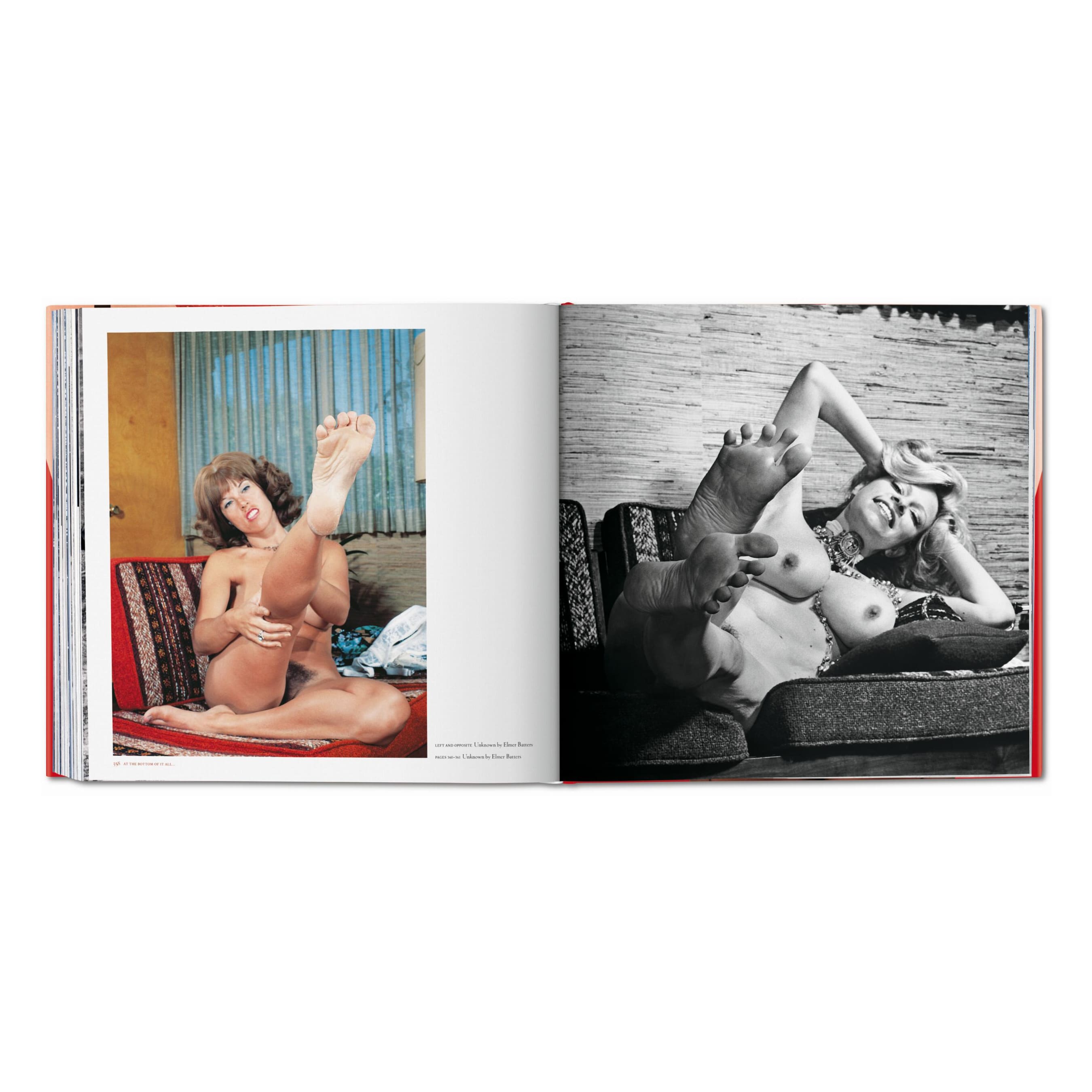 The Big Book of Legs (German, French, English)