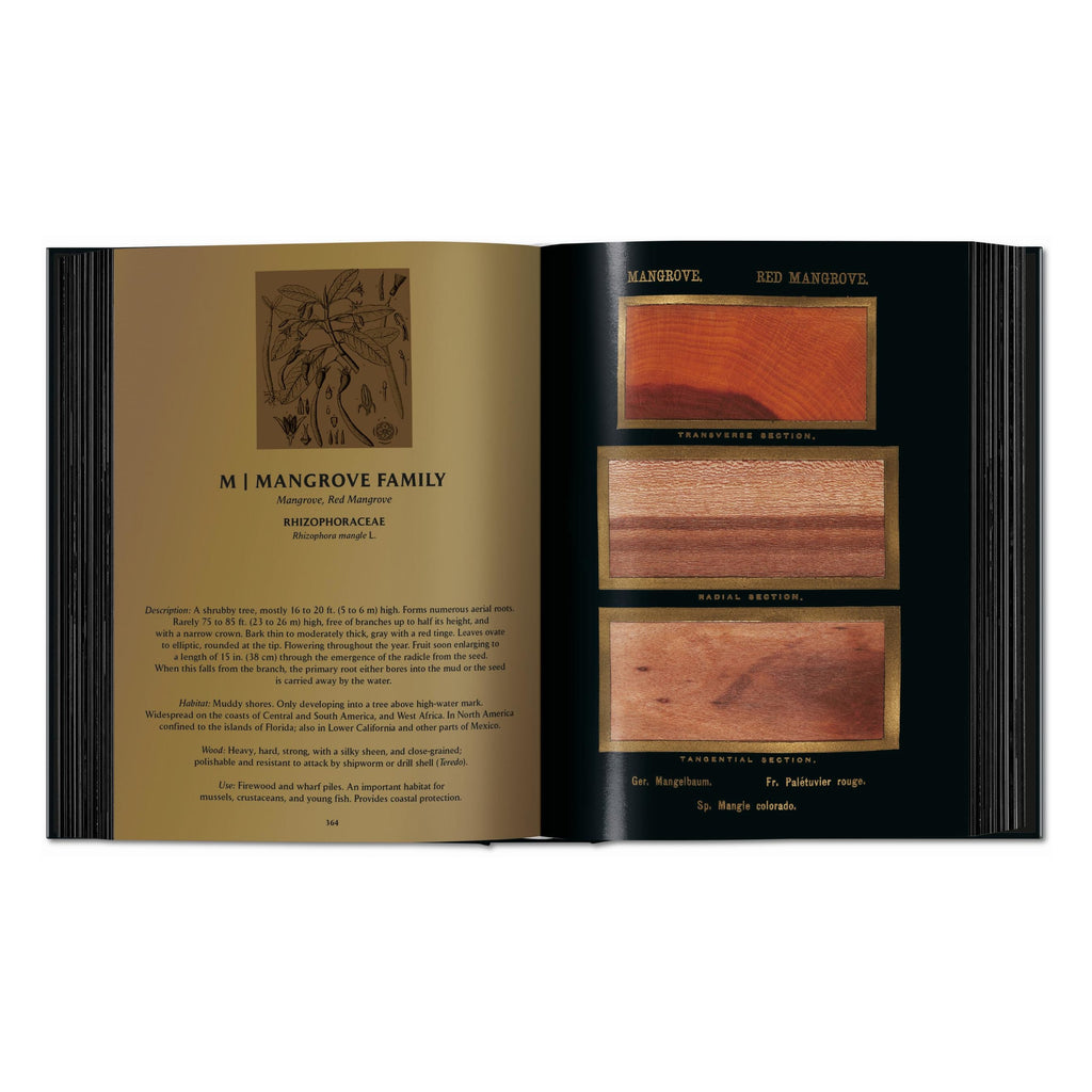 Romeyn B. Hough: The Woodbook. The Complete Plates