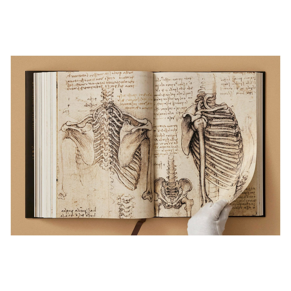 Leonardo: The Complete Paintings and Drawings