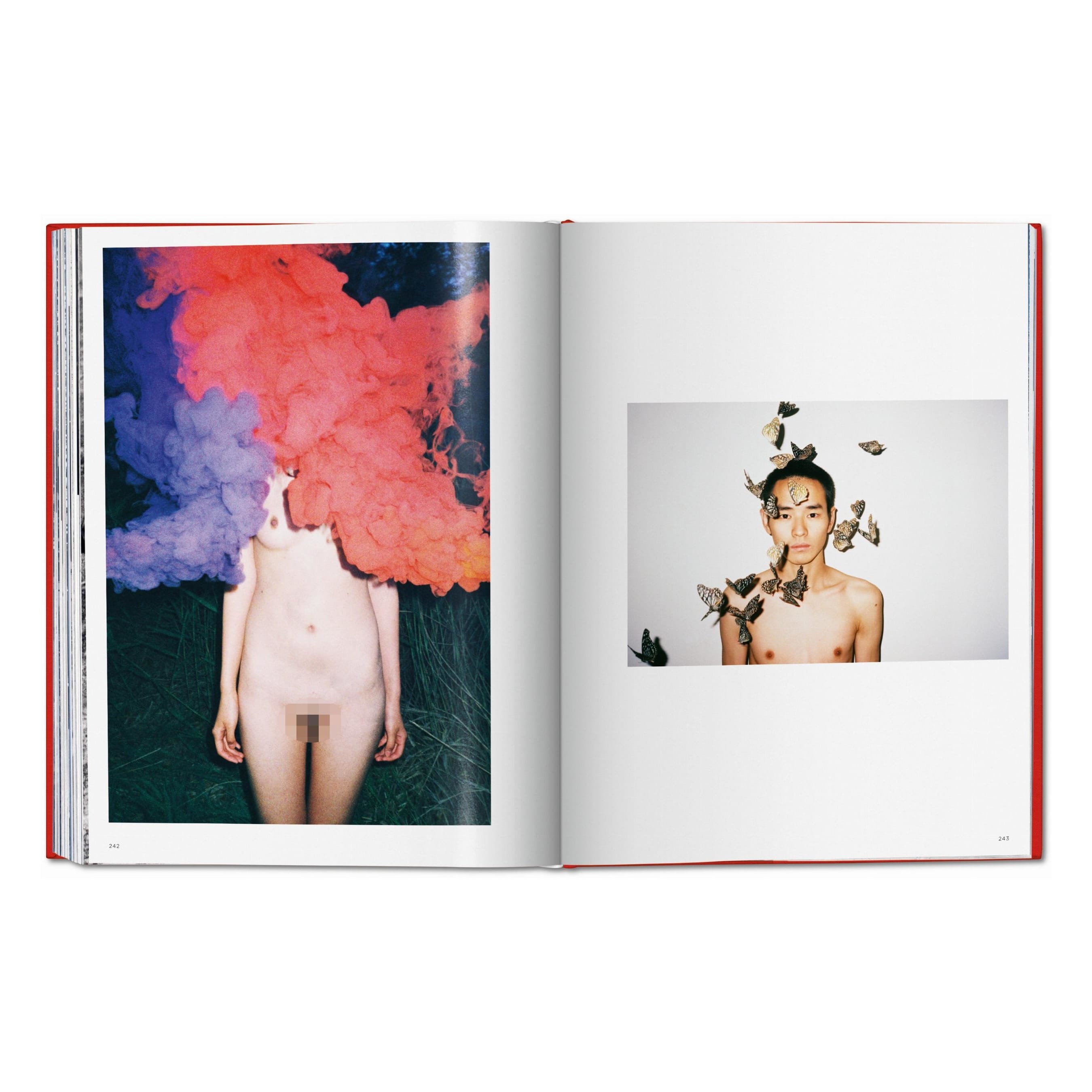 Ren Hang (German, French, English)