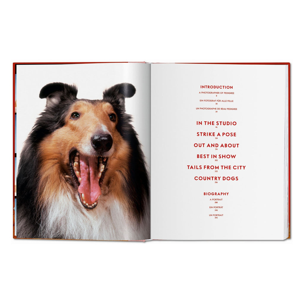 Walter Chandoha: Dogs. Photographs 1941–1991 (German, French, English)