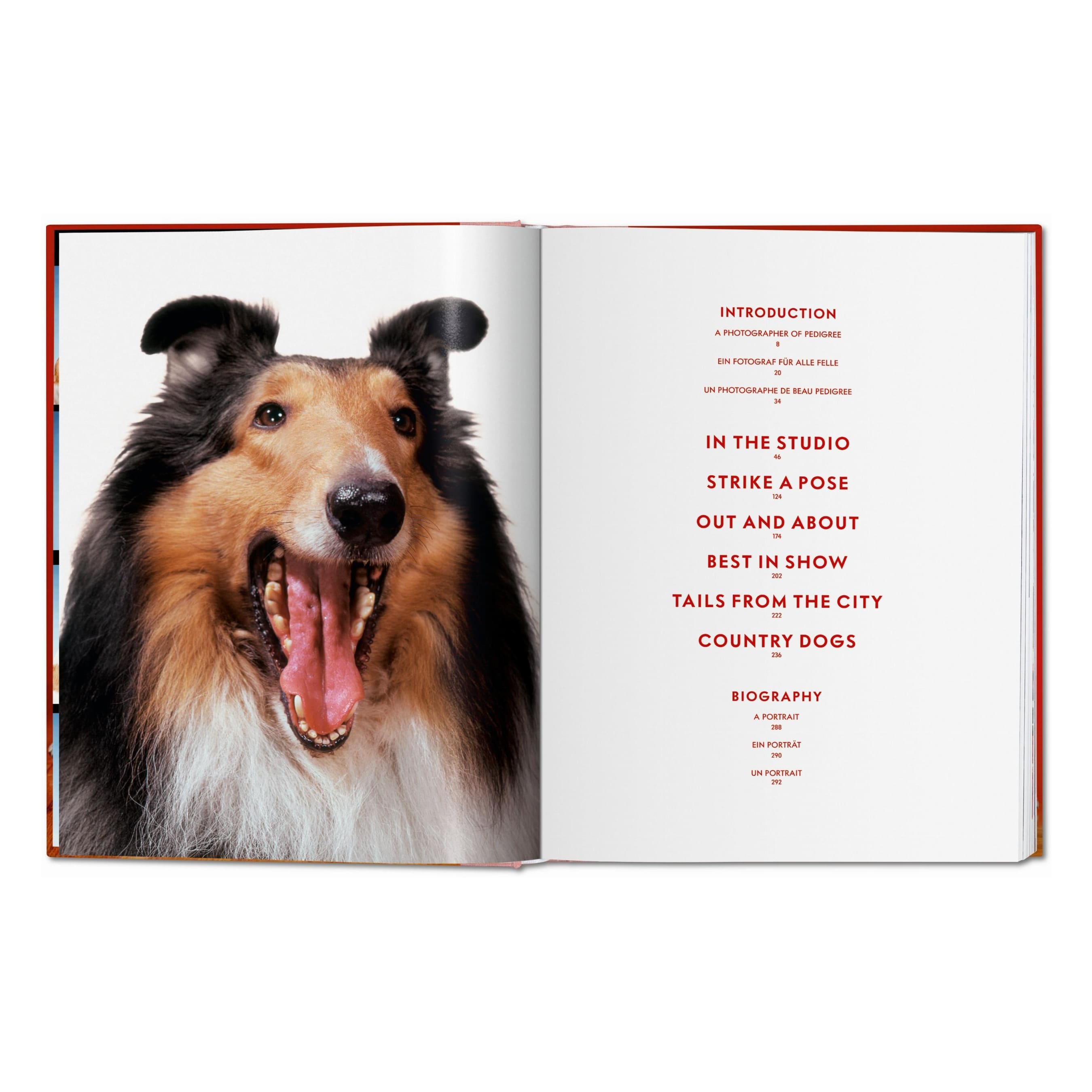 Walter Chandoha: Dogs. Photographs 1941–1991 (German, French, English)