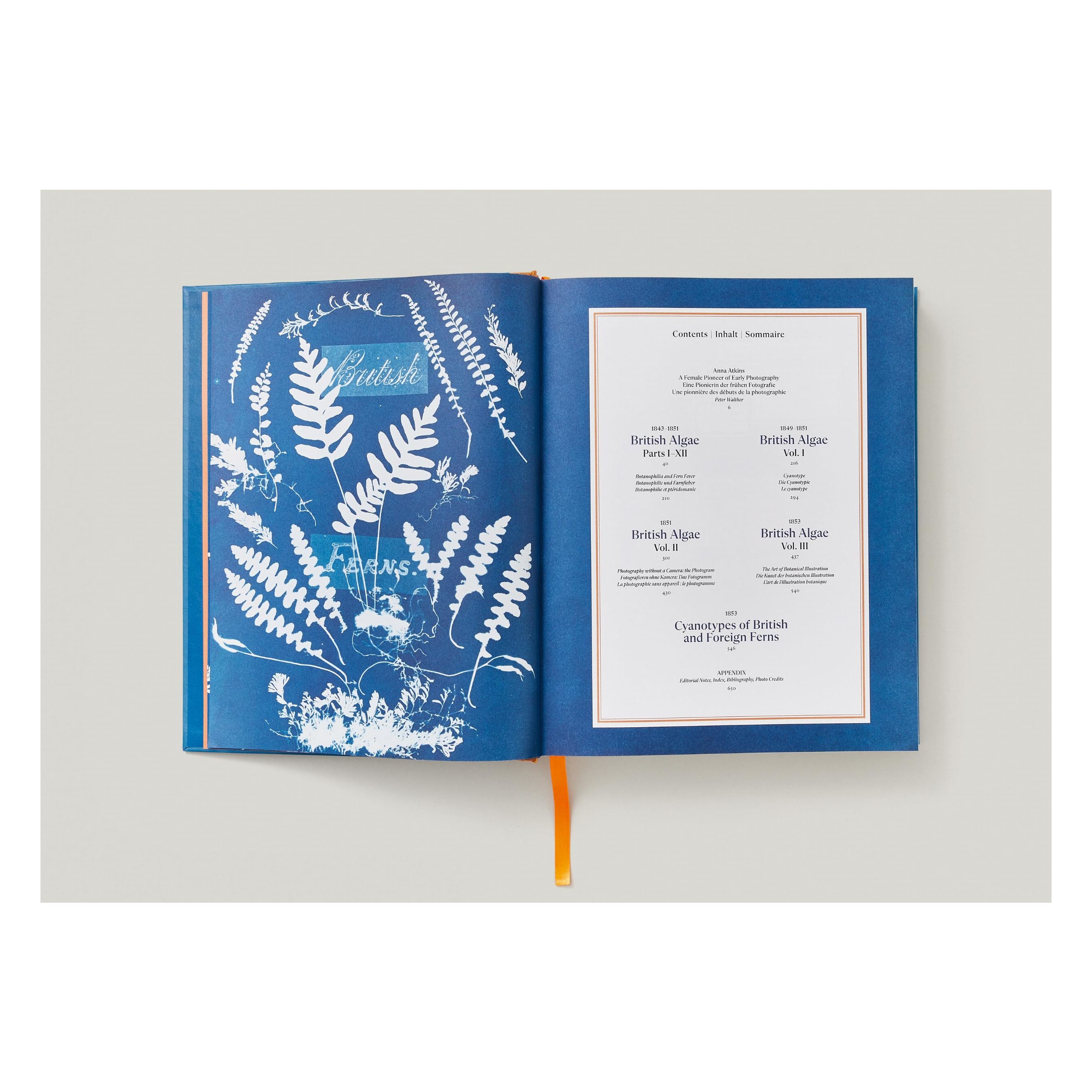 Anna Atkins. Cyanotypes (German, French, English)