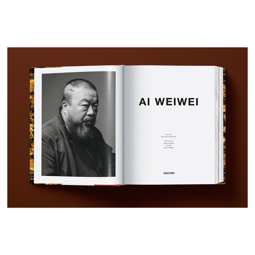 Ai Weiwei: Updated Edition (German, French, English)