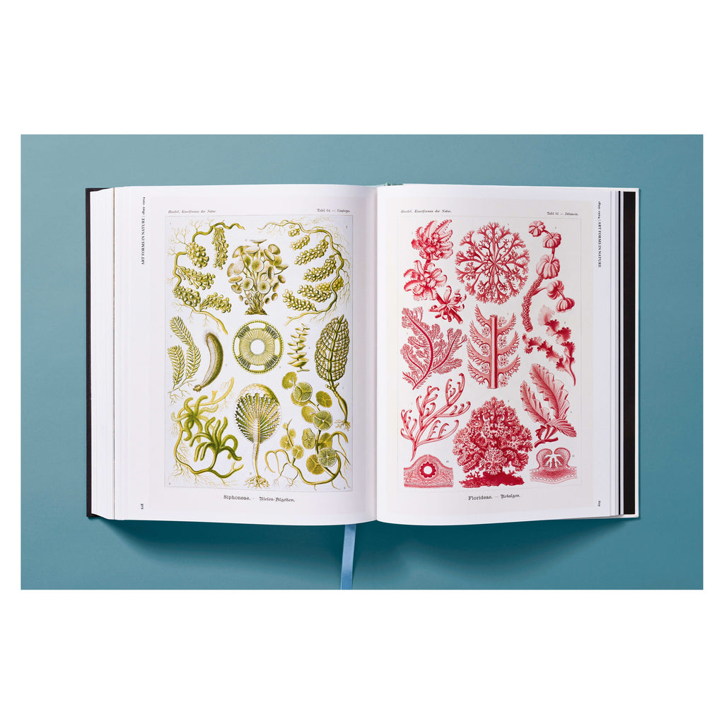 The Art and Science of Ernst Haeckel (German, French, English)