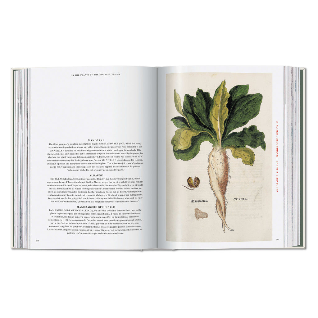 Leonhart Fuchs: The New Herbal (German, French, English)