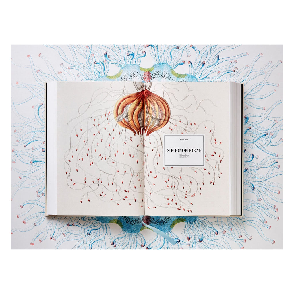 The Art and Science of Ernst Haeckel (German, French, English)