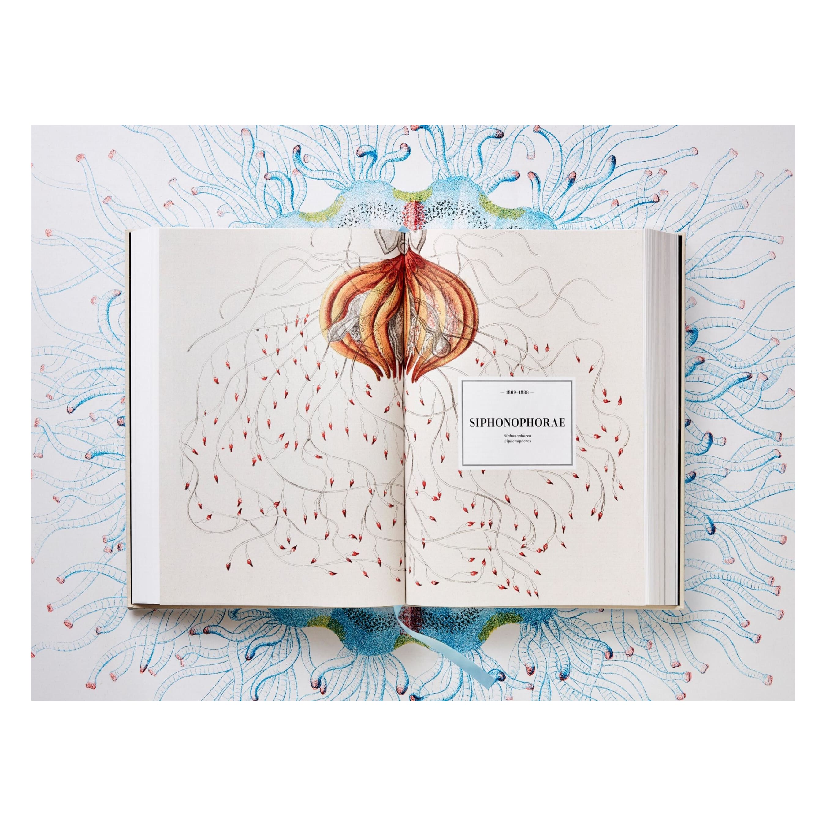 The Art and Science of Ernst Haeckel (German, French, English)