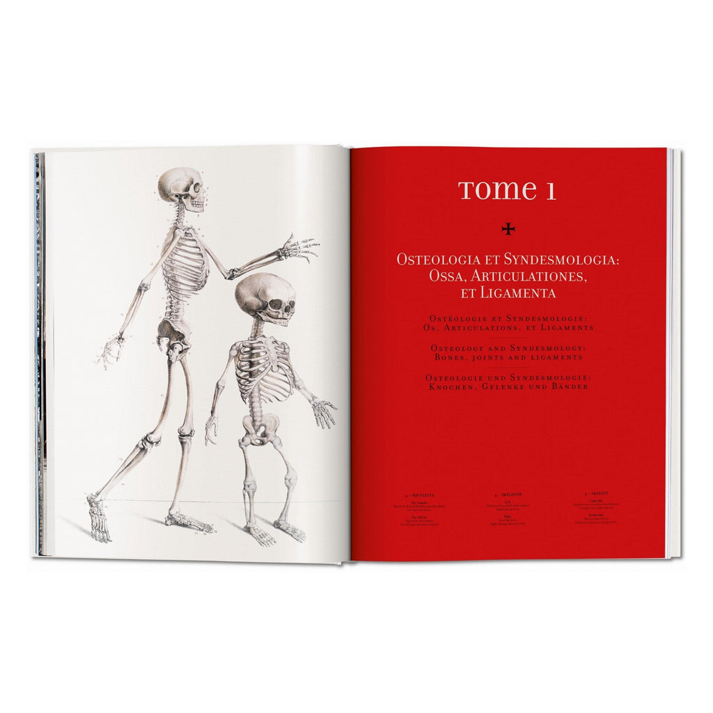 Bourgery: Atlas of Human Anatomy and Surgery (German, French, English)