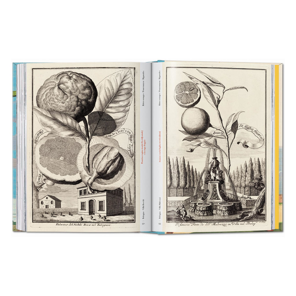 J. C. Volkamer: The Book of Citrus Fruits, 45th Ed. (German, French, English)