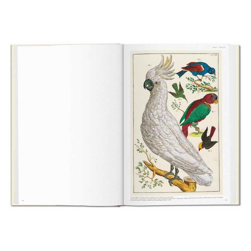 Seba: Cabinet of Natural Curiosities (German, French, English)