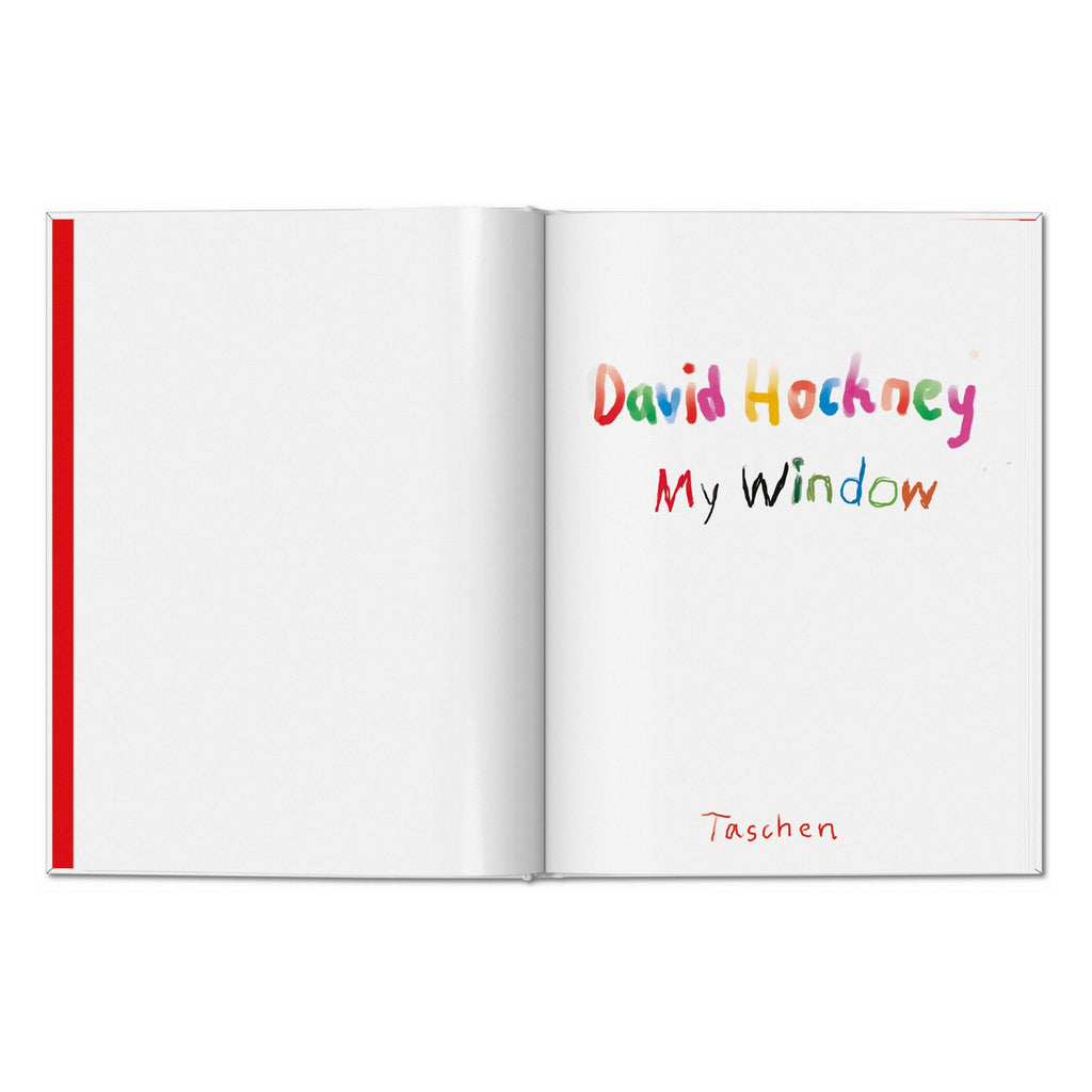 David Hockney: My Window