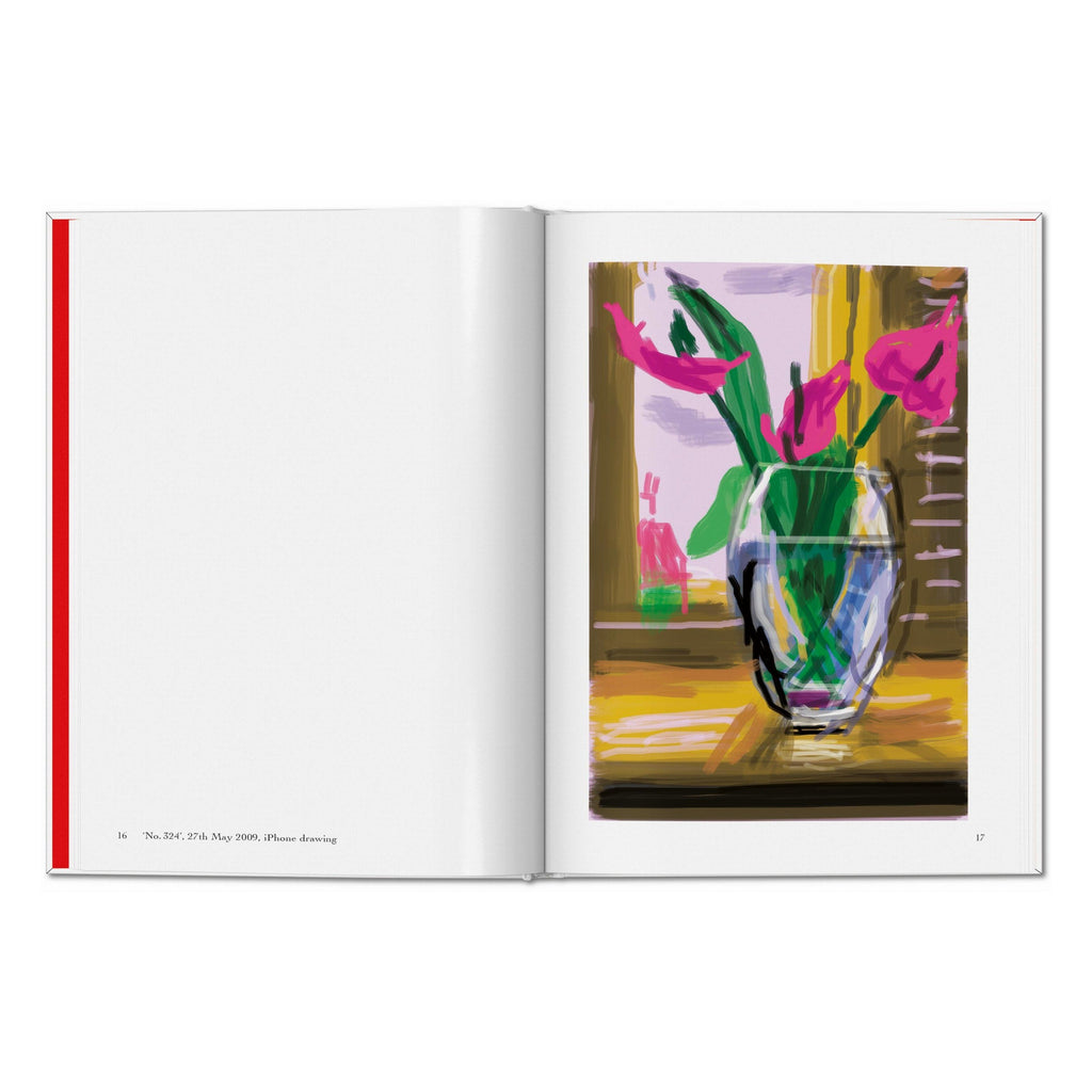 David Hockney: My Window
