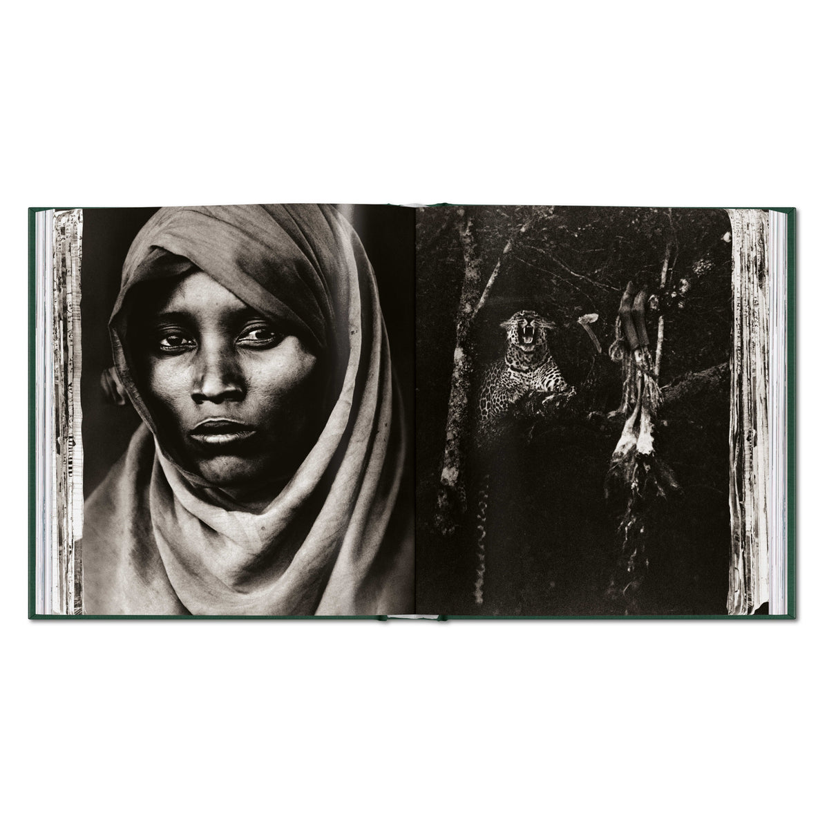 Peter Beard. The End of the Game (English)