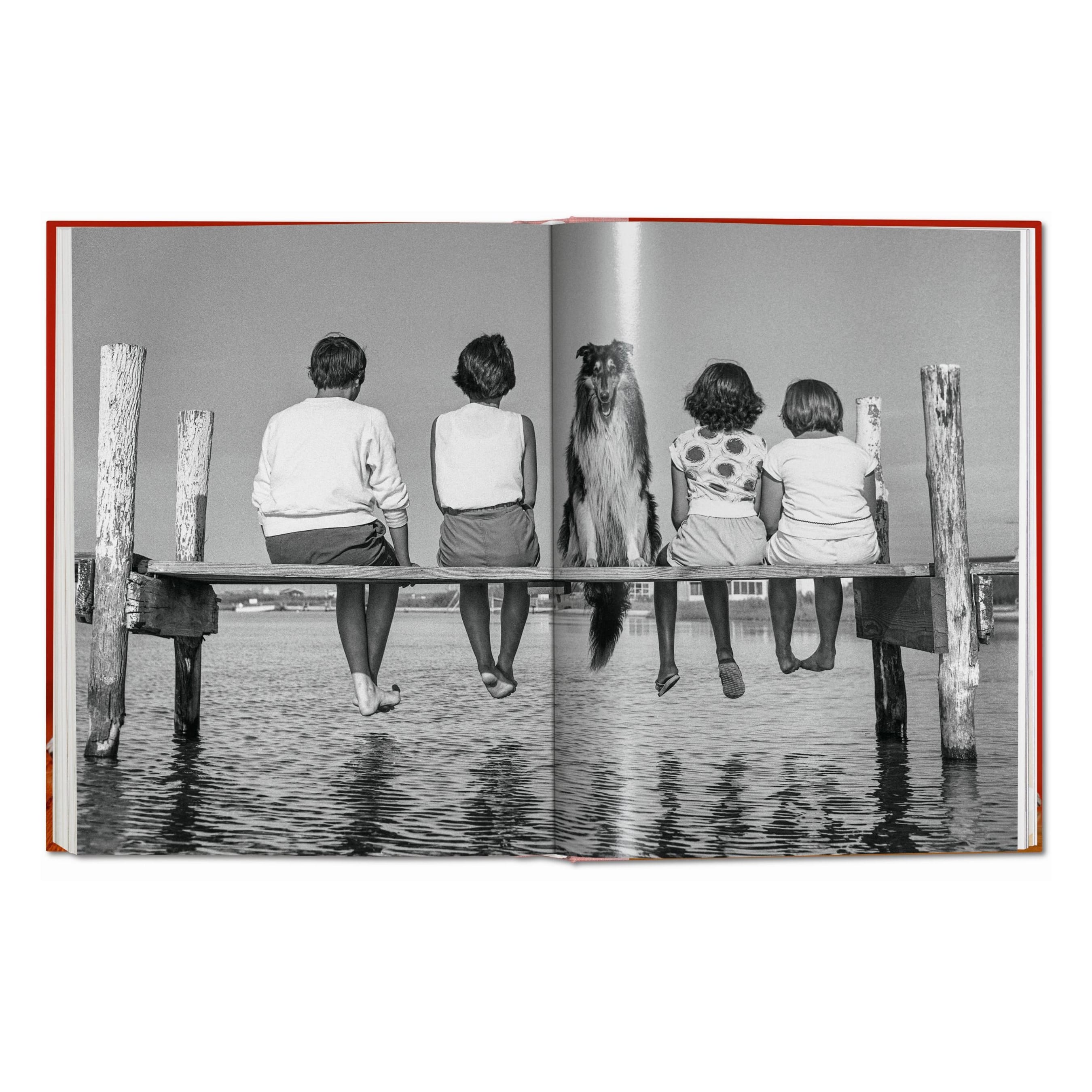 Walter Chandoha: Dogs. Photographs 1941–1991 (German, French, English)