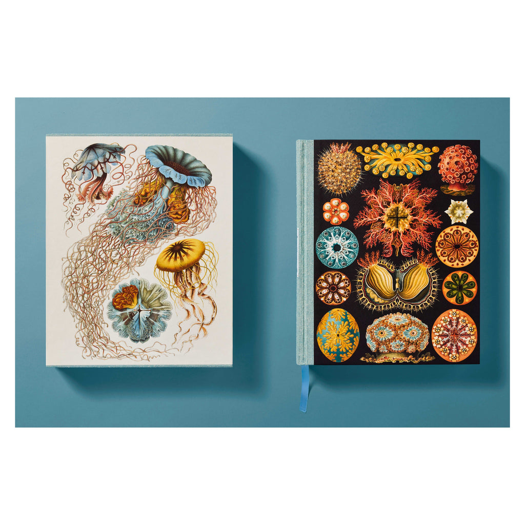 The Art and Science of Ernst Haeckel (German, French, English)
