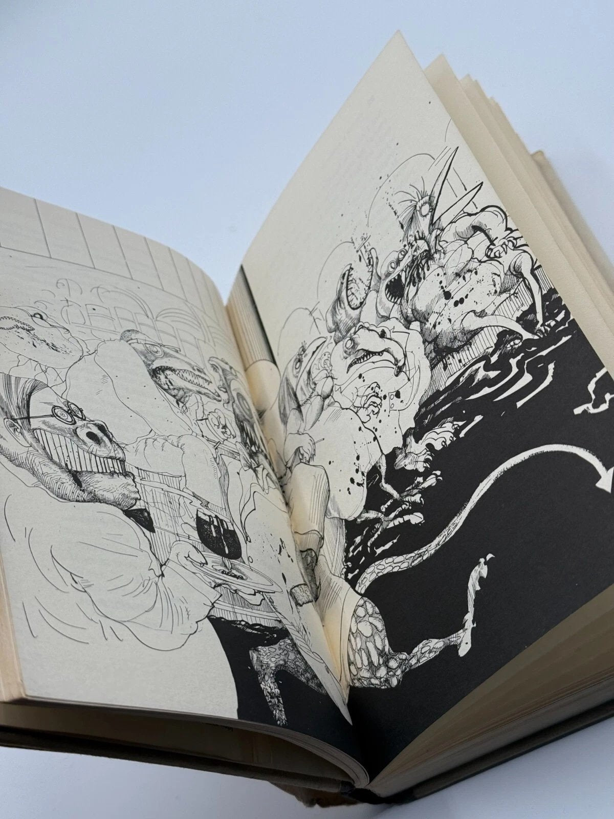 Open book with black and white illustrations on a light background
