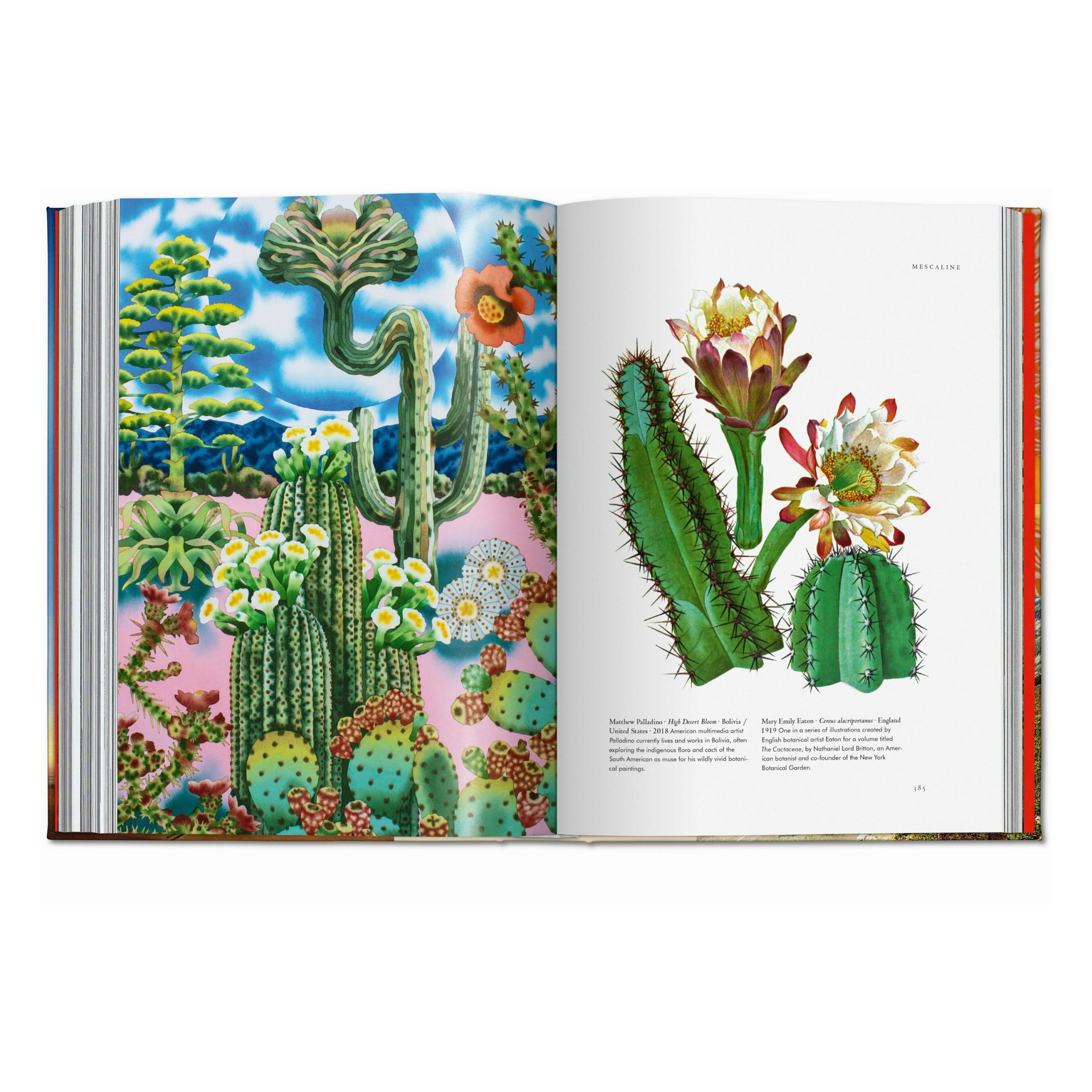 Plant Magick: The Library of Esoterica