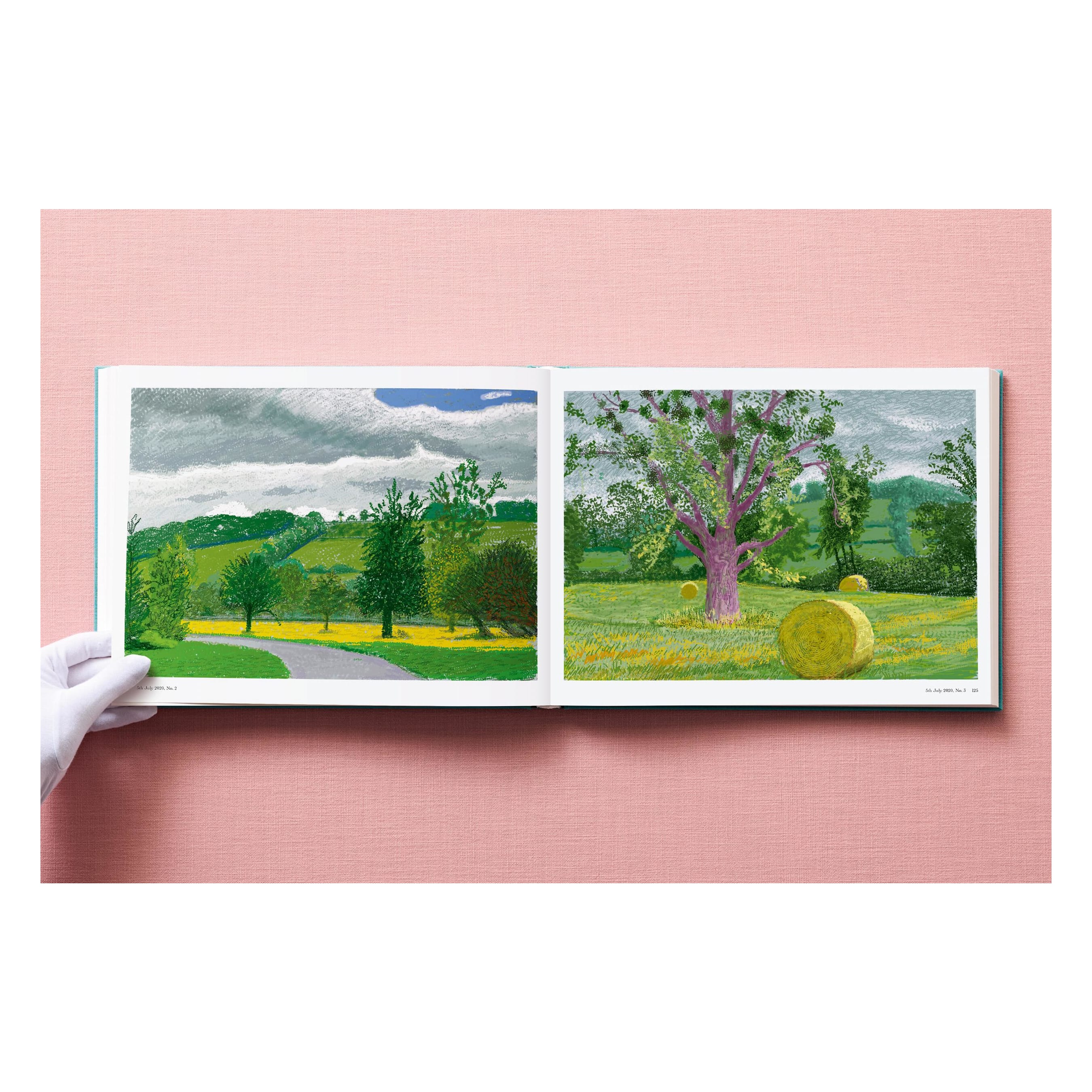David Hockney: 220 for 2020