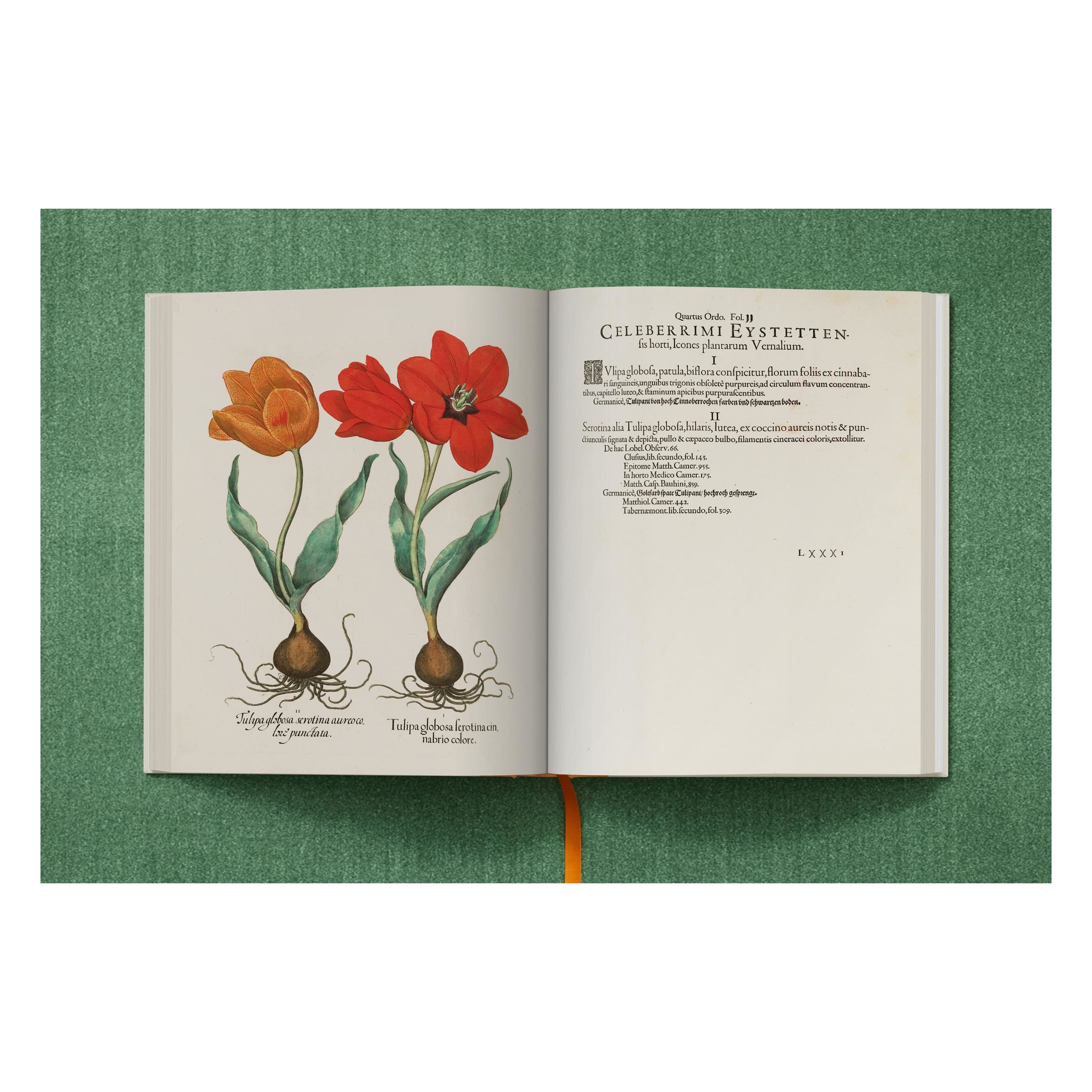 Basilius Besler: The Garden at Eichstätt (German, French, English)