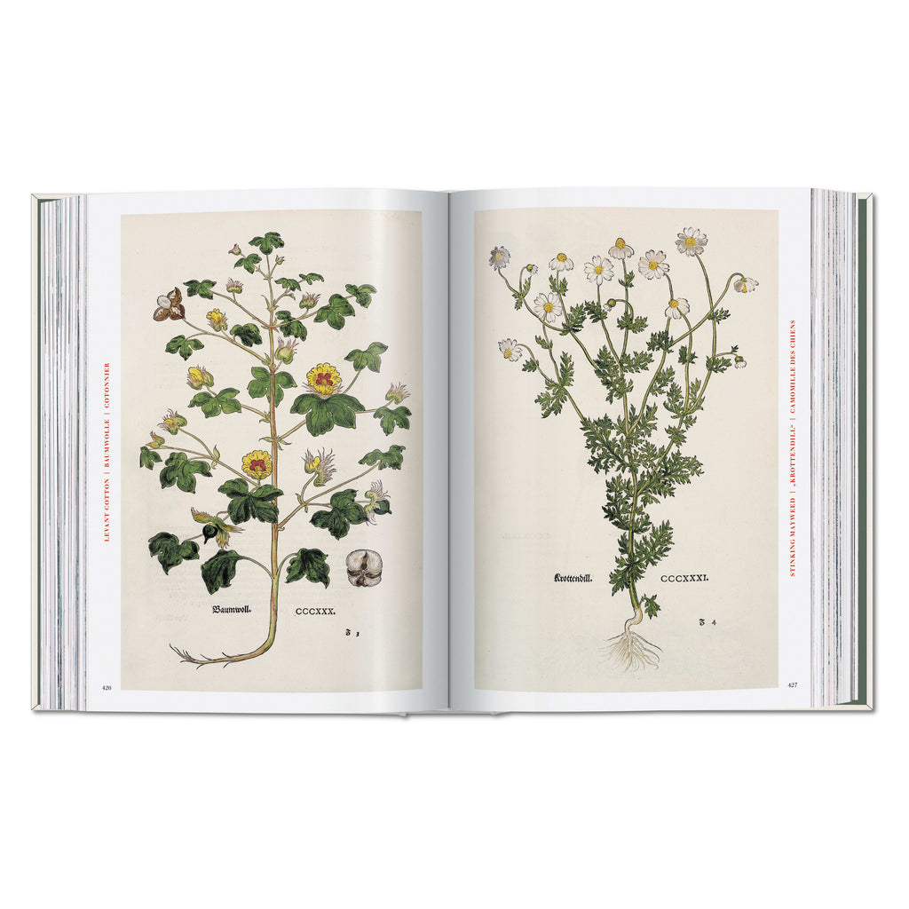 Leonhart Fuchs: The New Herbal (German, French, English)