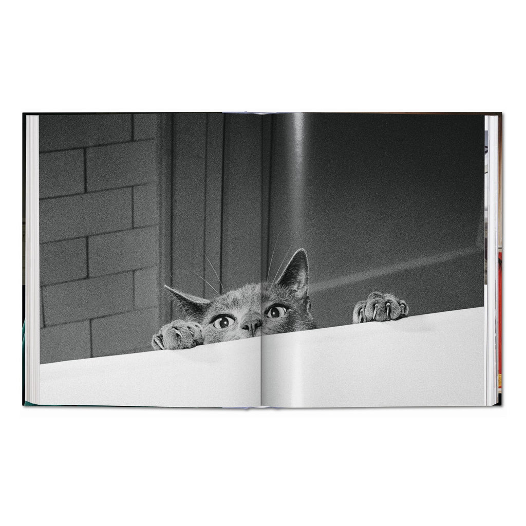 Walter Chandoha: Cats, Photographs 1942–2018 (German, French, English)