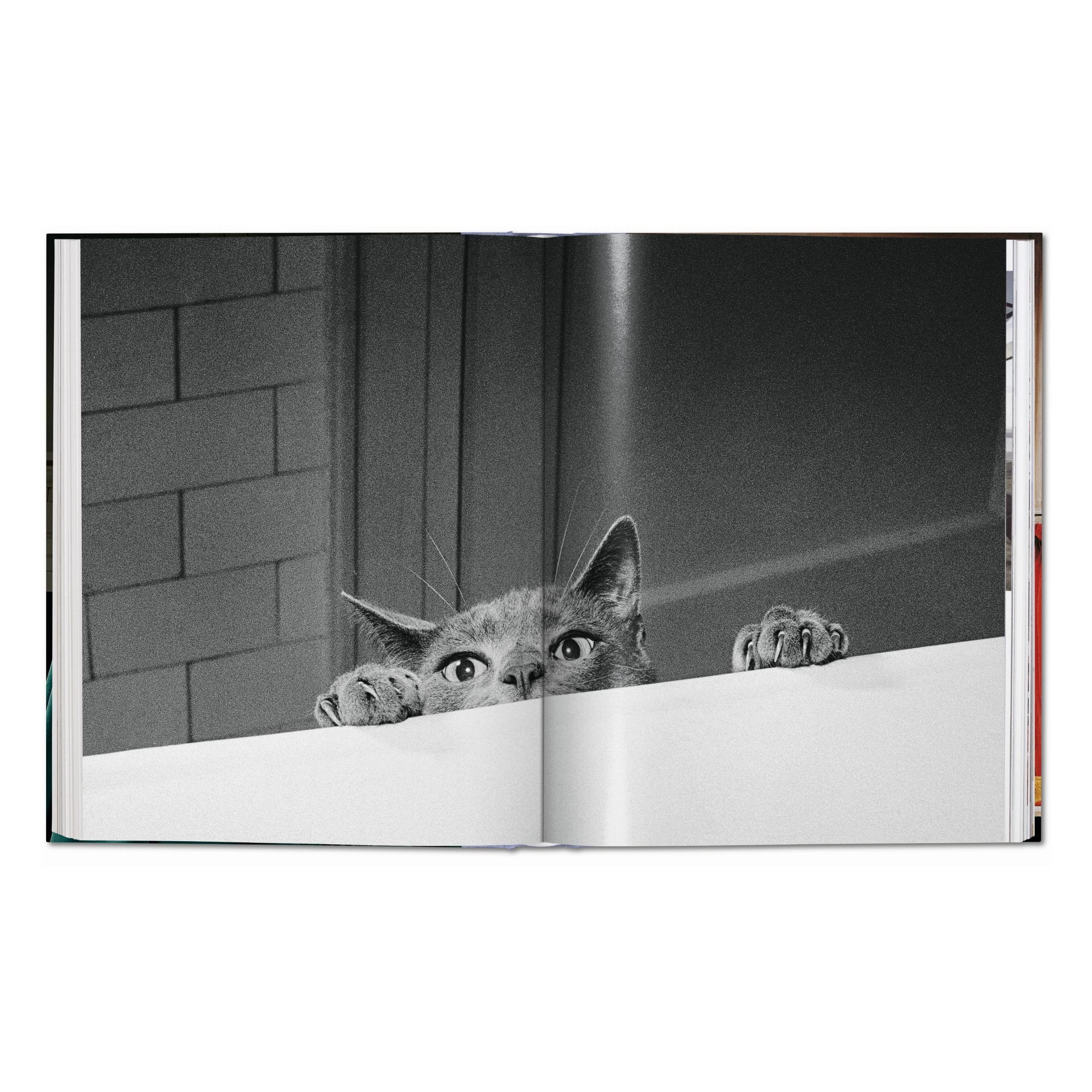 Walter Chandoha: Cats, Photographs 1942–2018 (German, French, English)