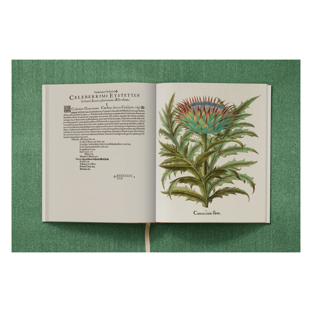 Basilius Besler: The Garden at Eichstätt (German, French, English)