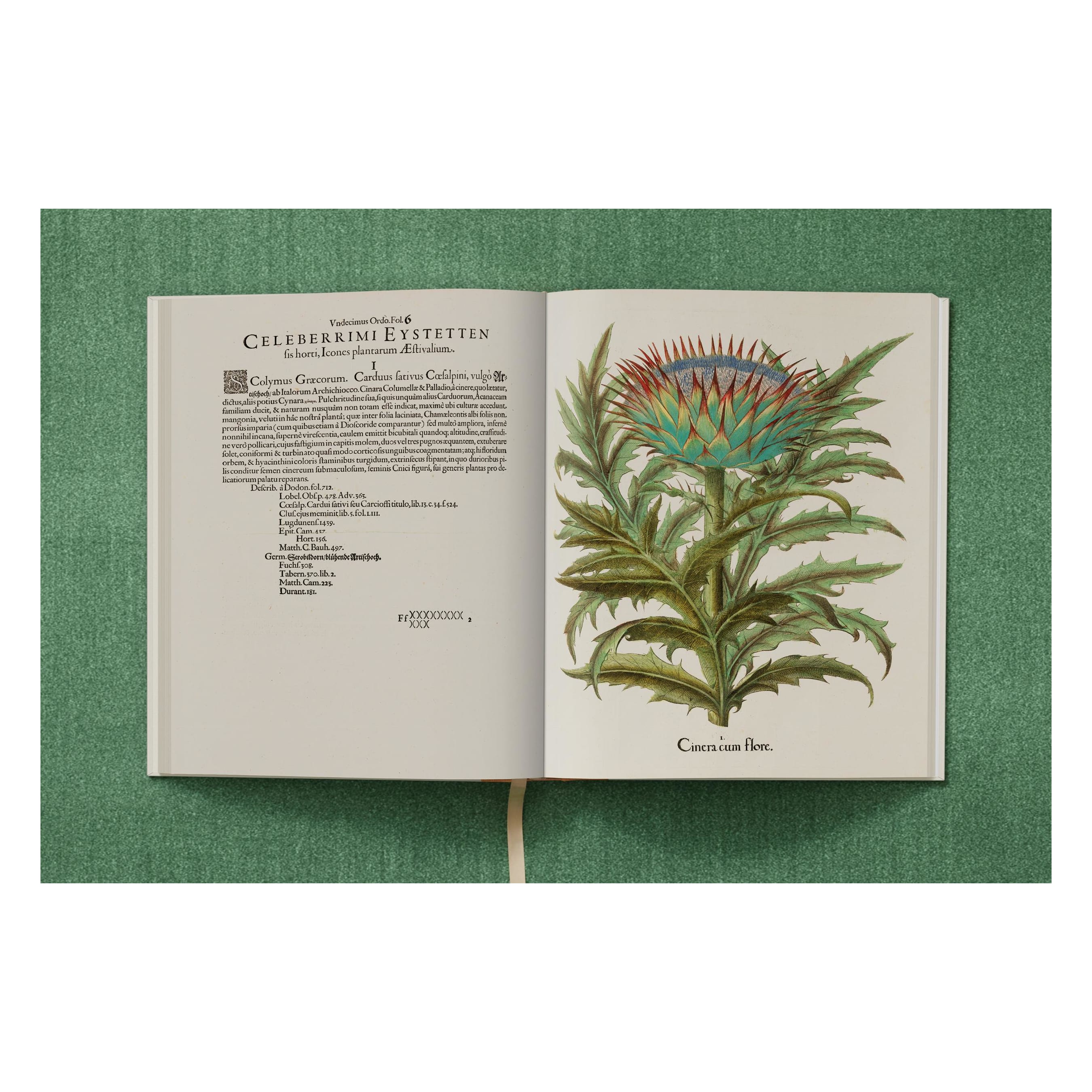 Basilius Besler: The Garden at Eichstätt (German, French, English)