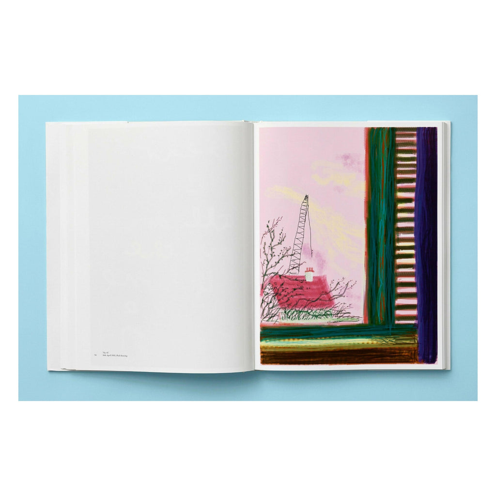 David Hockney: My Window