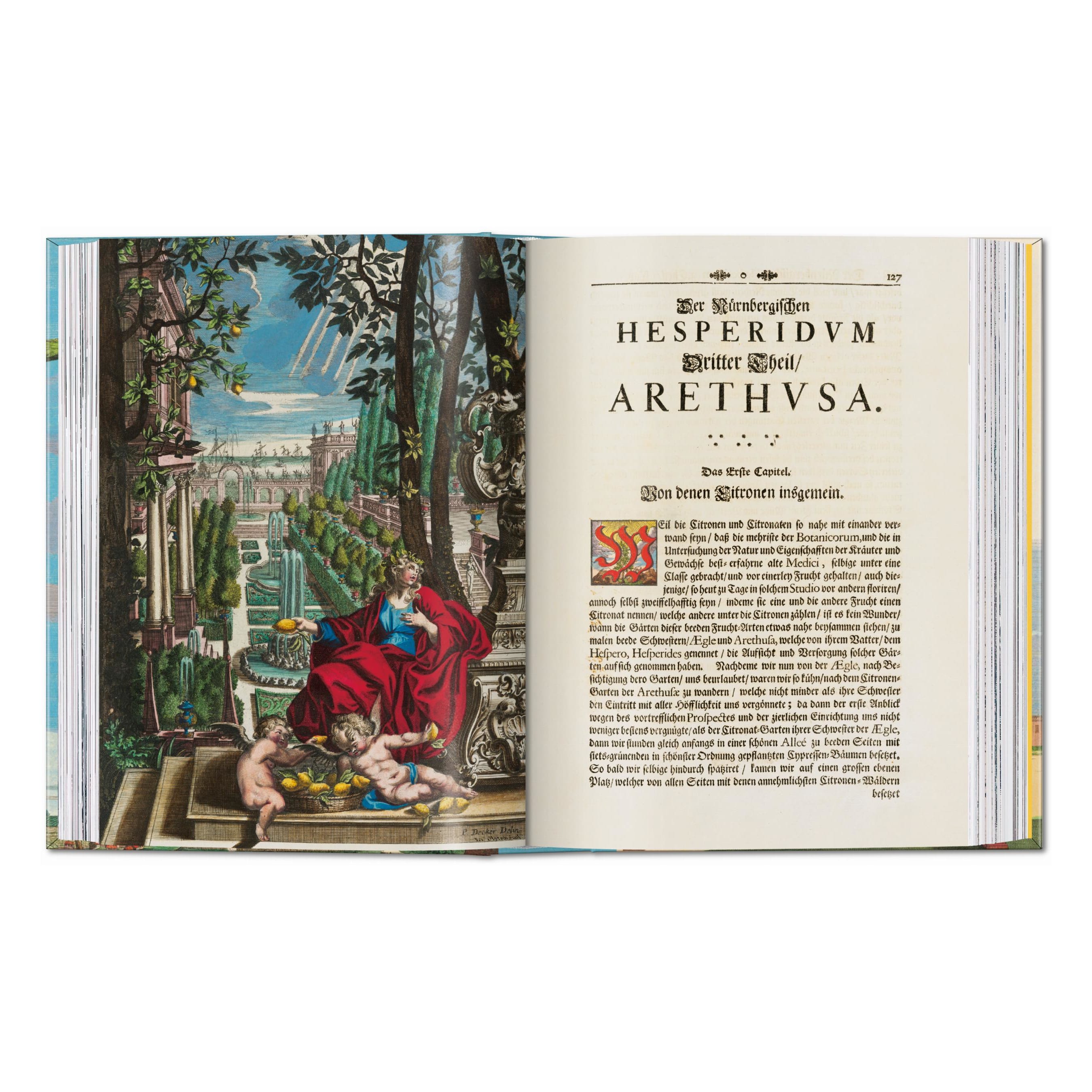 J. C. Volkamer: The Book of Citrus Fruits, 45th Ed. (German, French, English)