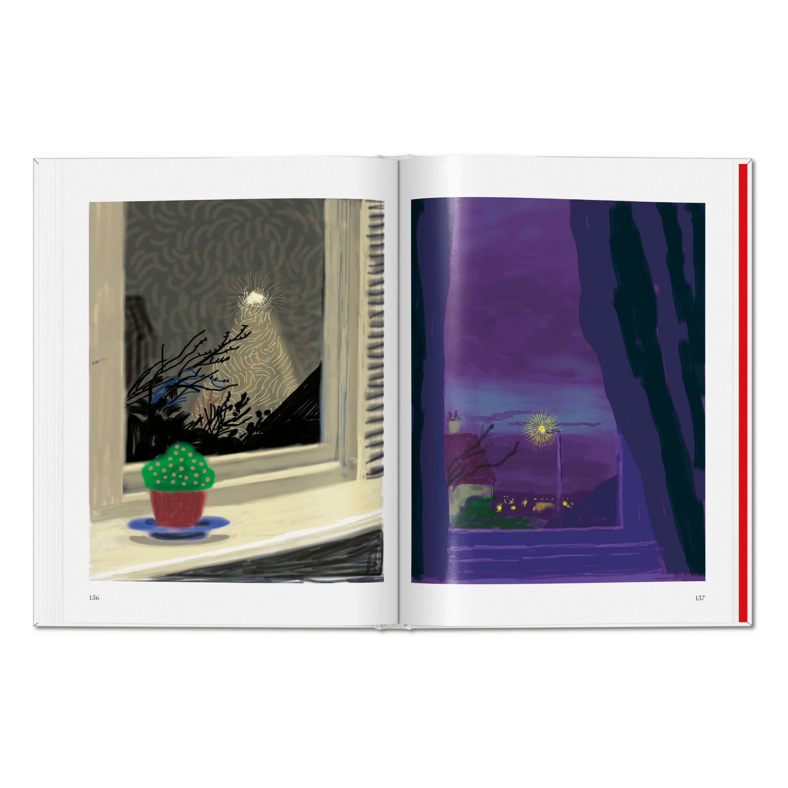 David Hockney: My Window