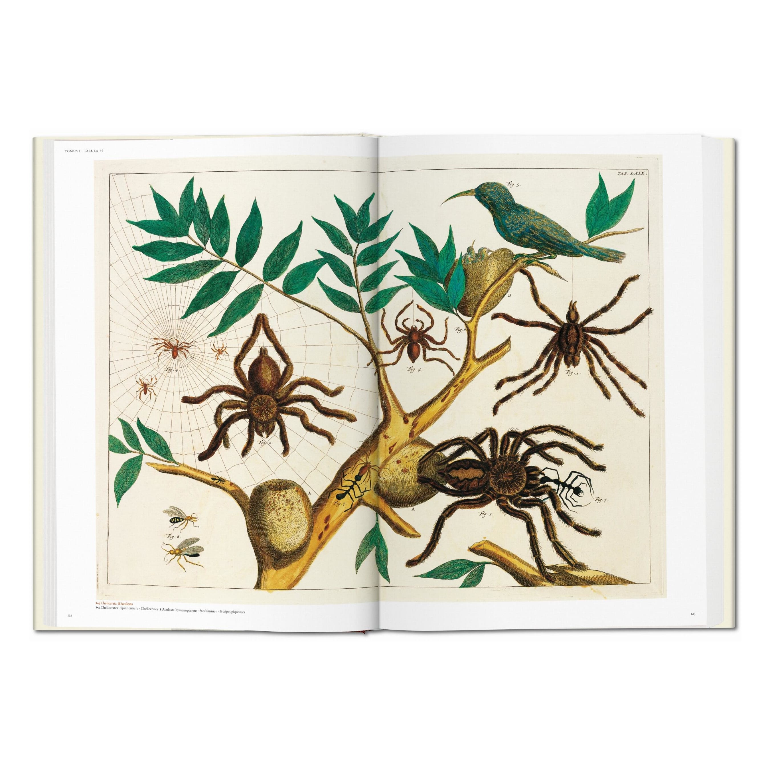 Seba: Cabinet of Natural Curiosities (German, French, English)